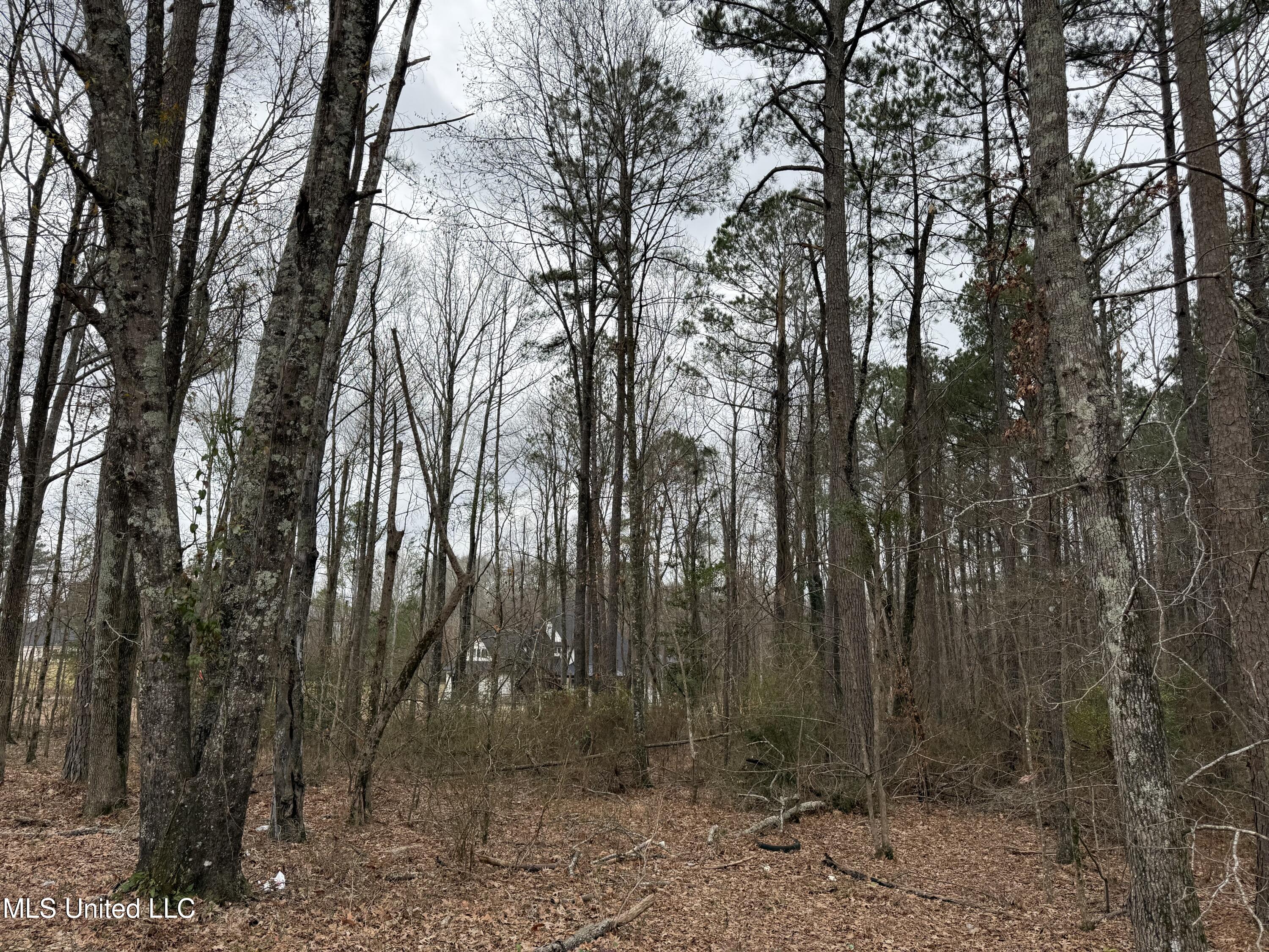 Mt Elam Church Road Pearl, MS 39208 - Photo 14 of 27 IMG_9686