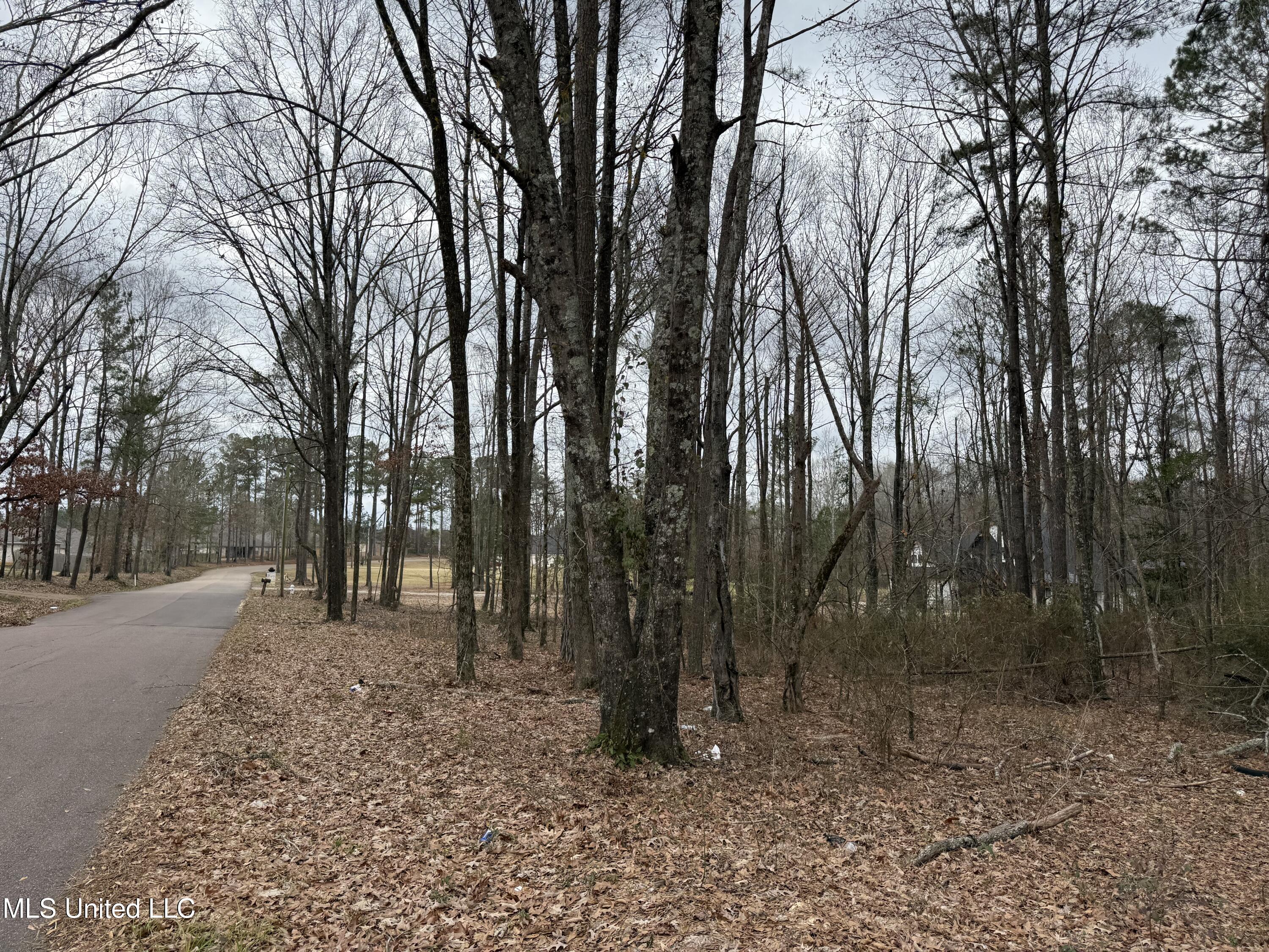 Mt Elam Church Road Pearl, MS 39208 - Photo 19 of 27 IMG_9685