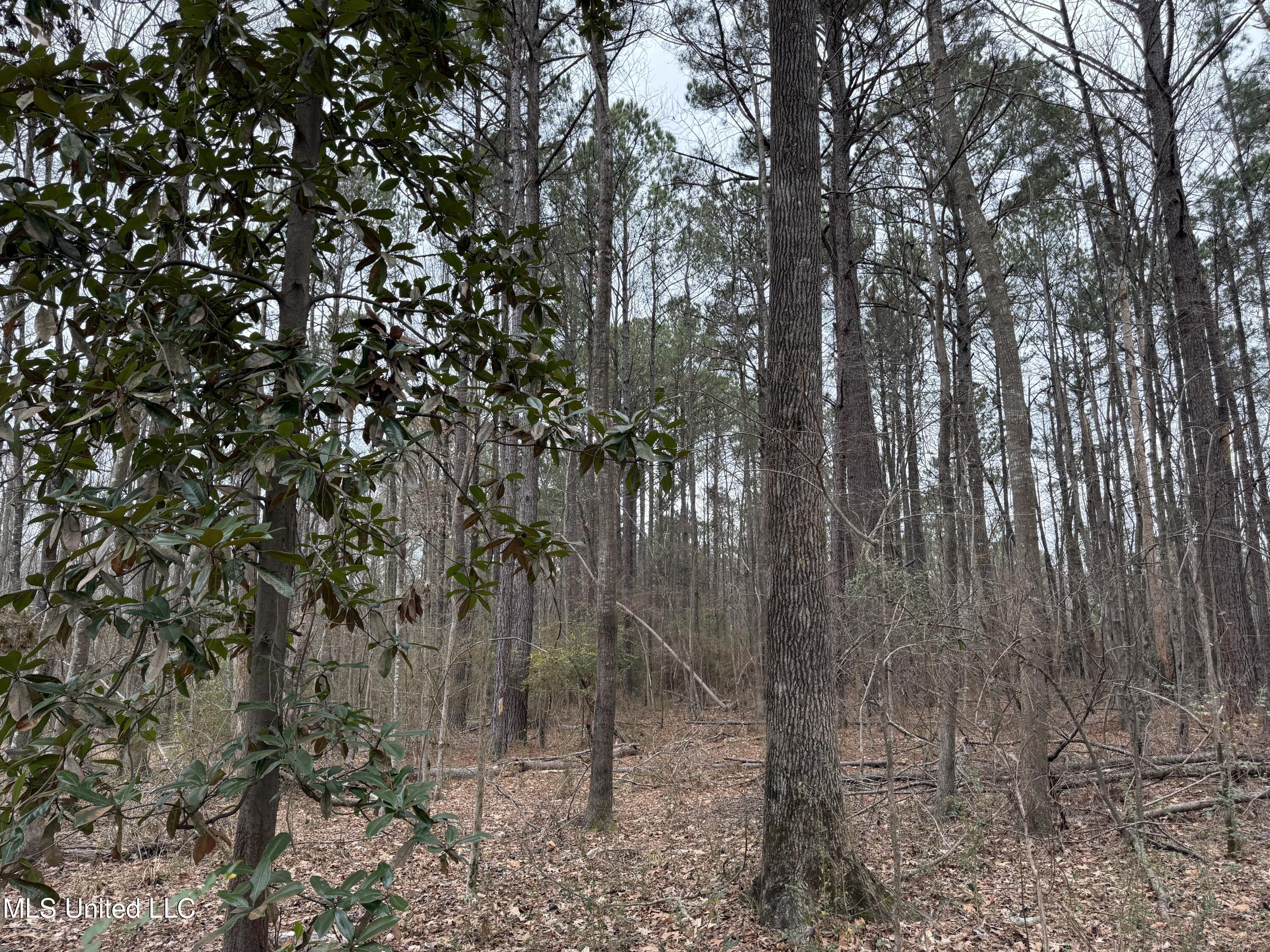 Mt Elam Church Road Pearl, MS 39208 - Photo 20 of 27 IMG_9691