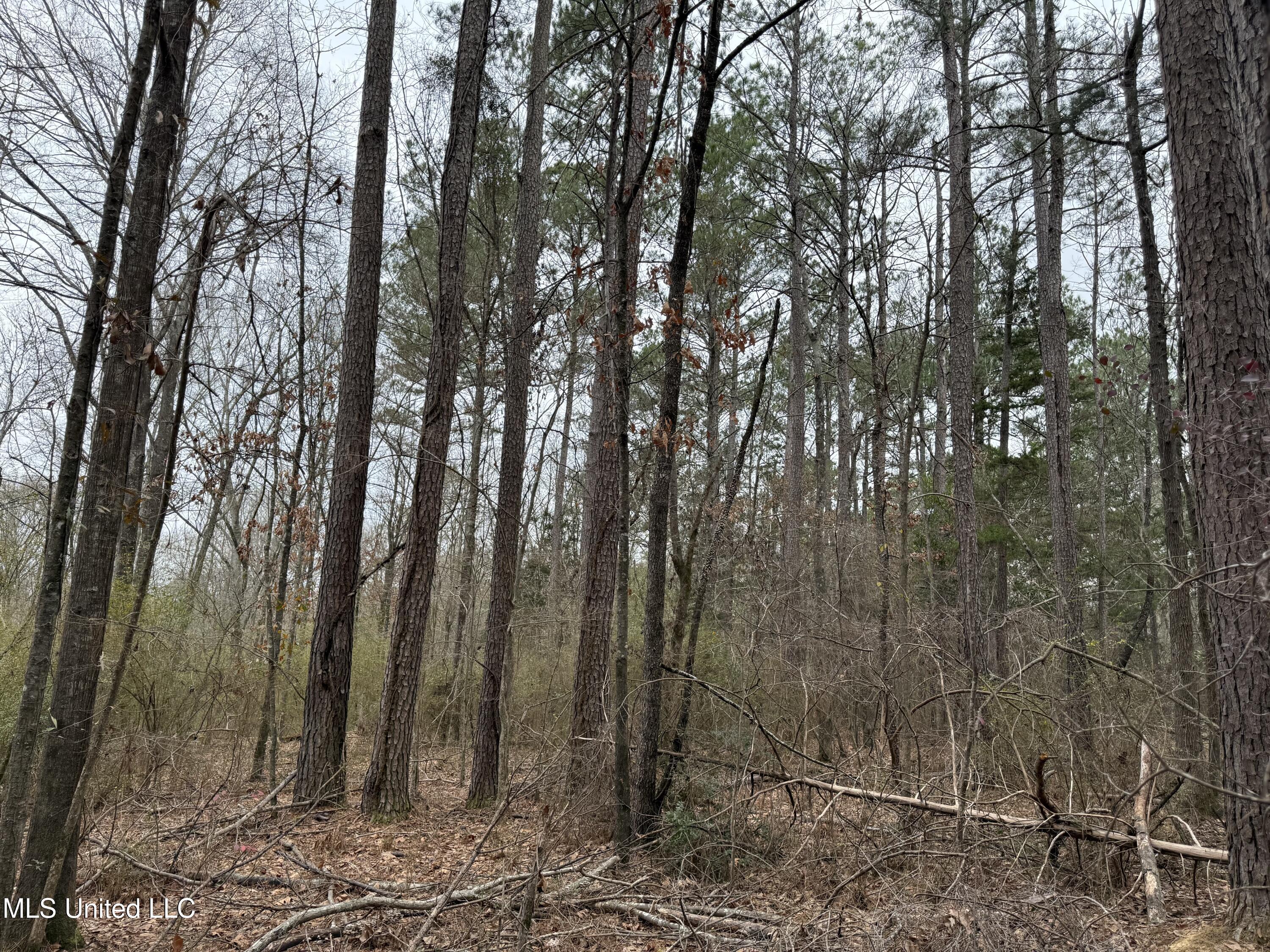 Mt Elam Church Road Pearl, MS 39208 - Photo 2 of 27 IMG_9701