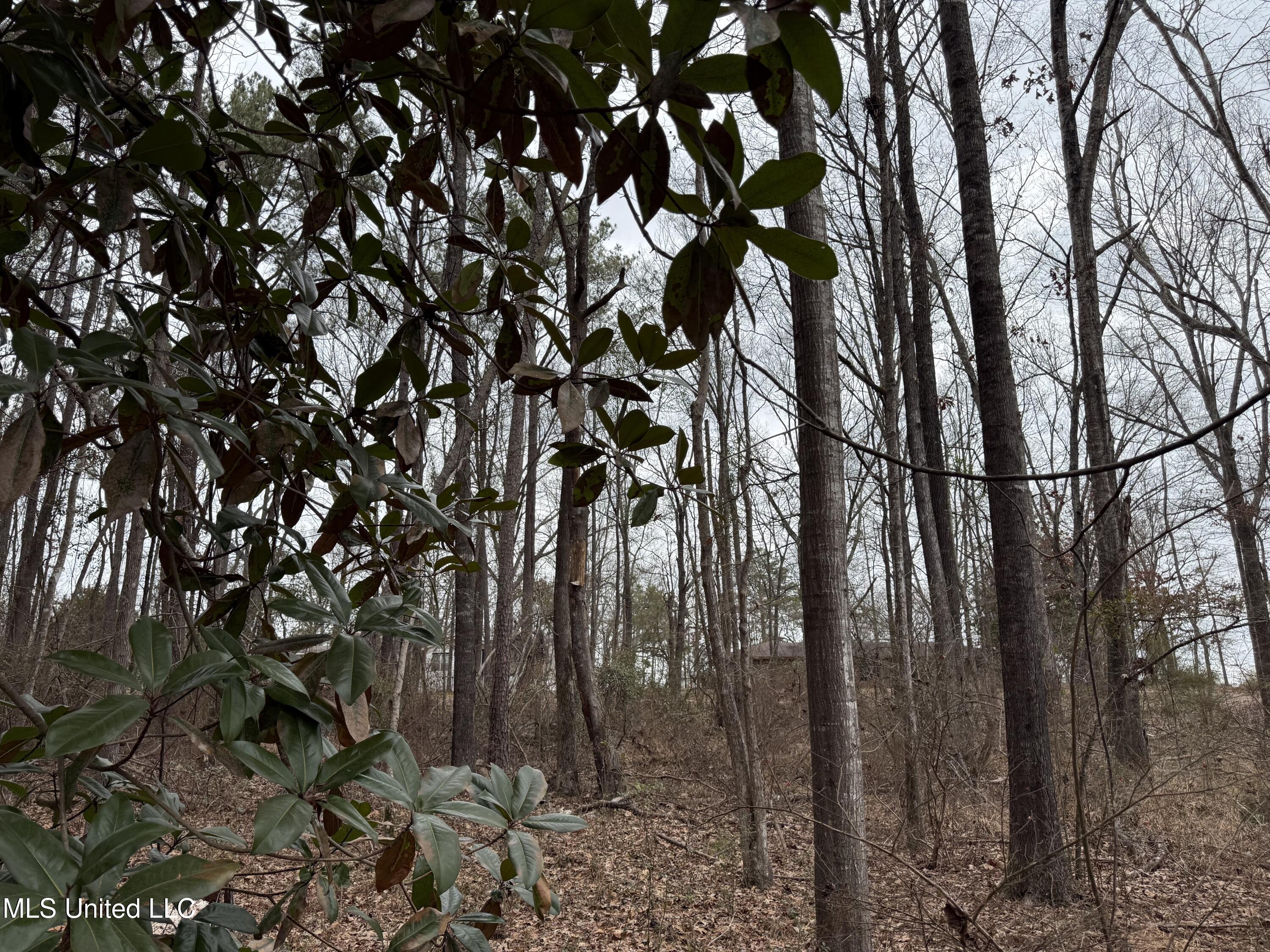 Mt Elam Church Road Pearl, MS 39208 - Photo 21 of 27 IMG_9715