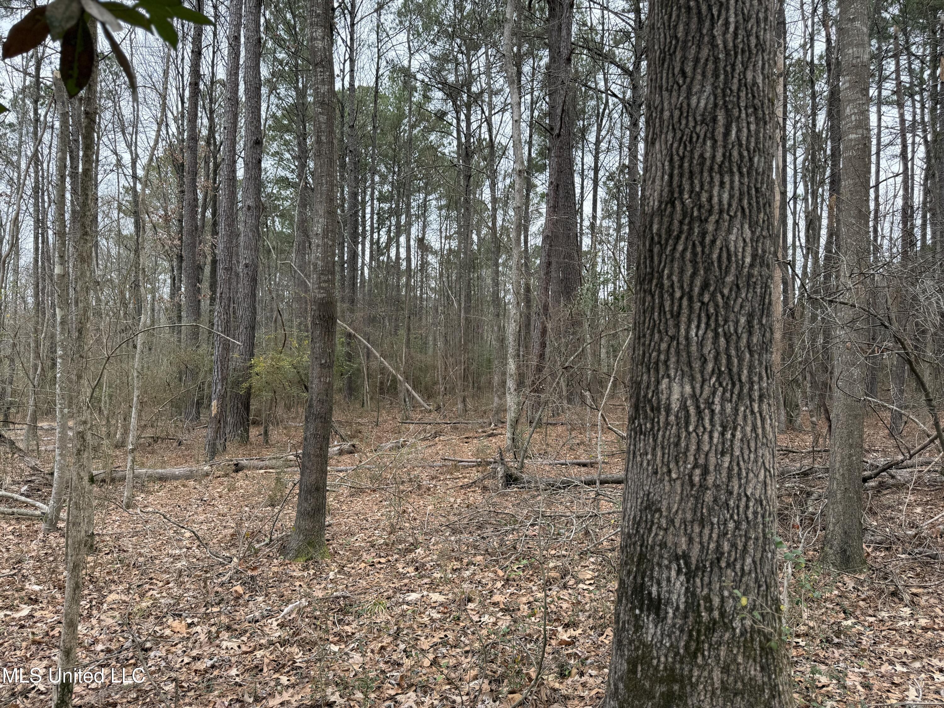 Mt Elam Church Road Pearl, MS 39208 - Photo 24 of 27 IMG_9692