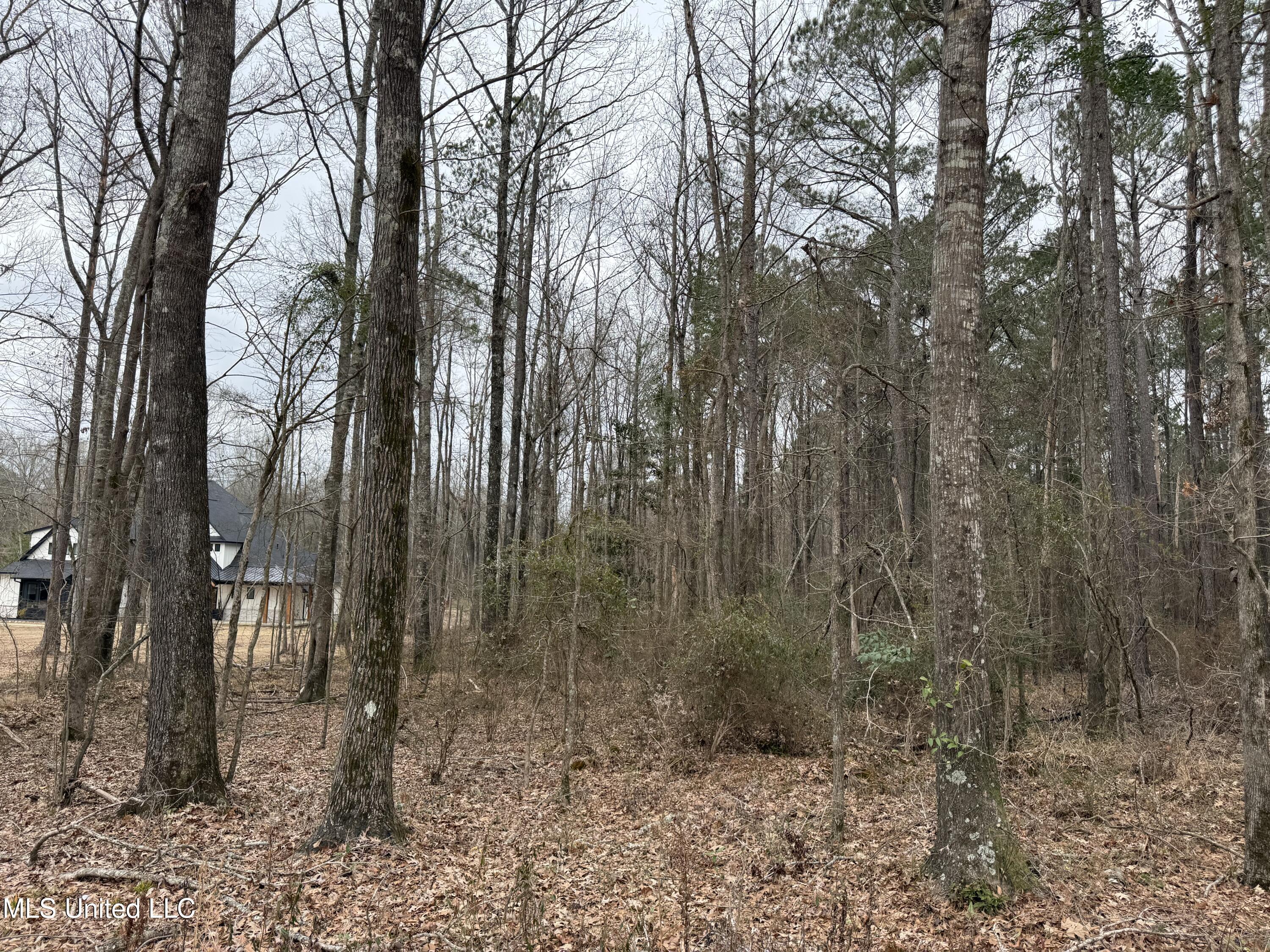 Mt Elam Church Road Pearl, MS 39208 - Photo 26 of 27 IMG_9717