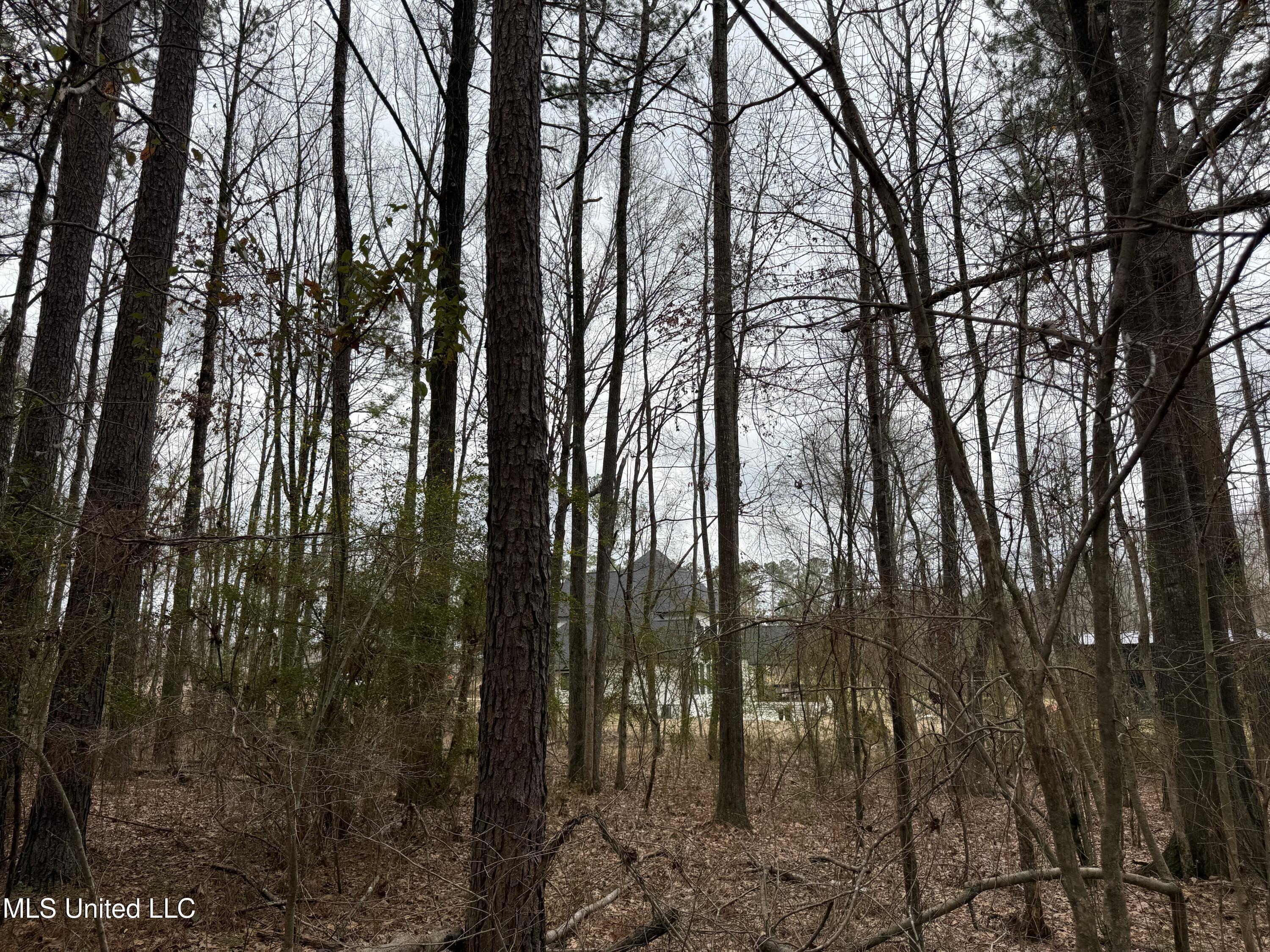 Mt Elam Church Road Pearl, MS 39208 - Photo 3 of 27 IMG_9706