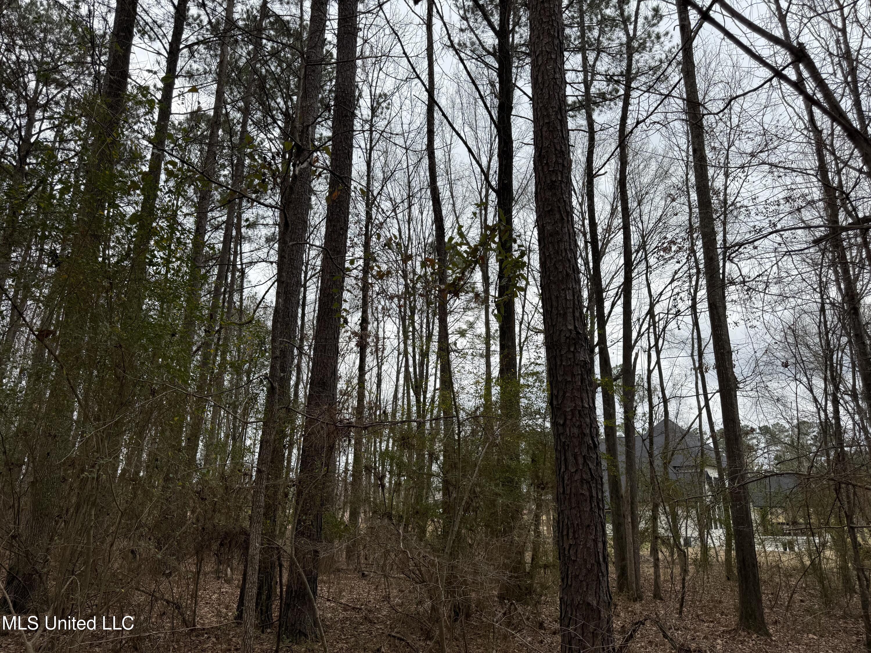 Mt Elam Church Road Pearl, MS 39208 - Photo 9 of 27 IMG_9707