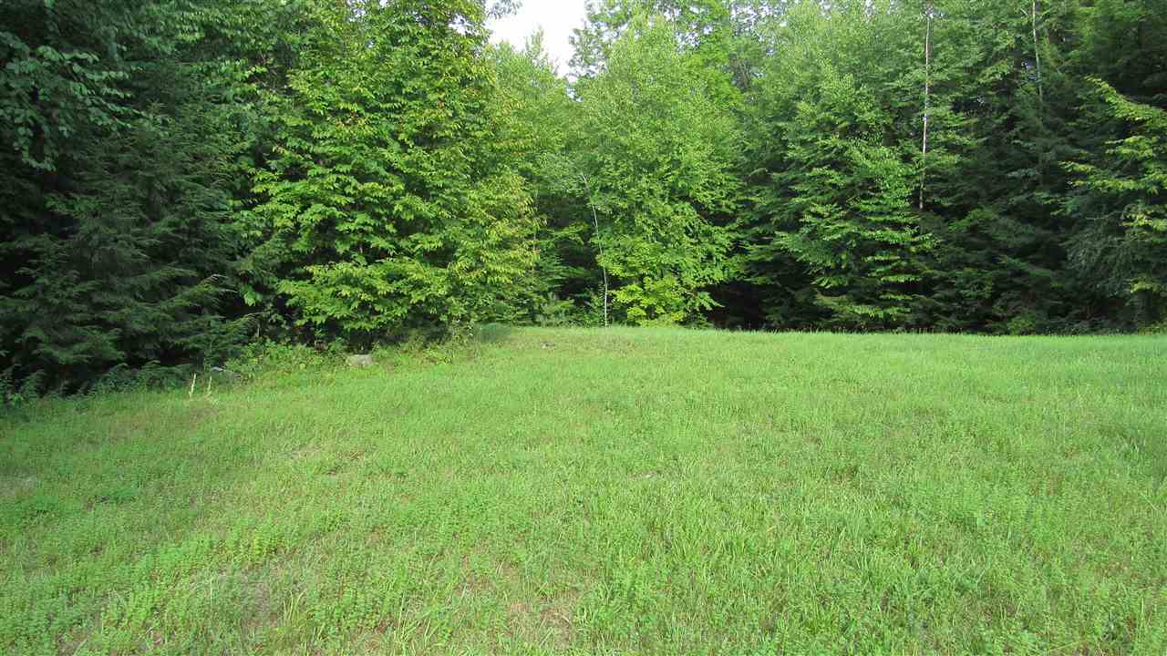 1197 Willowbrook Road Sudbury, VT 05733 - Photo 38 of 38 Gallery Image 38