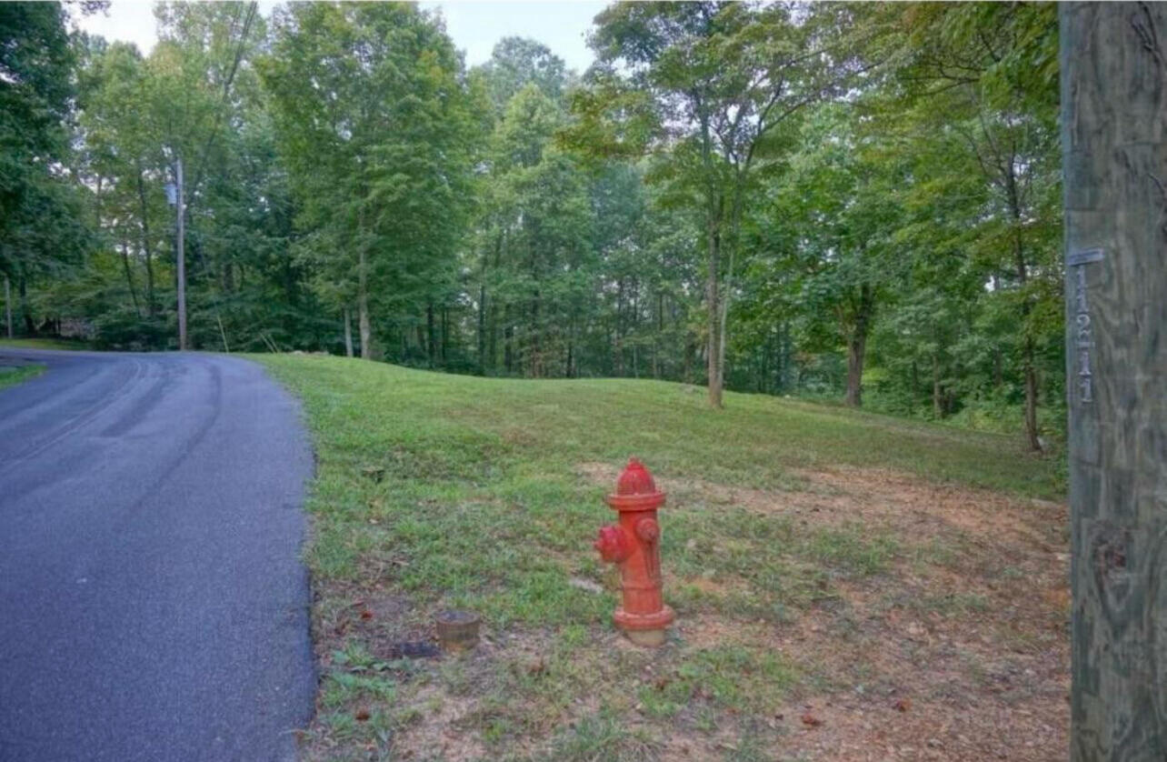 302 Golf Course Road Unicoi, TN 37692 - Photo 1 of 4 IMG_2857