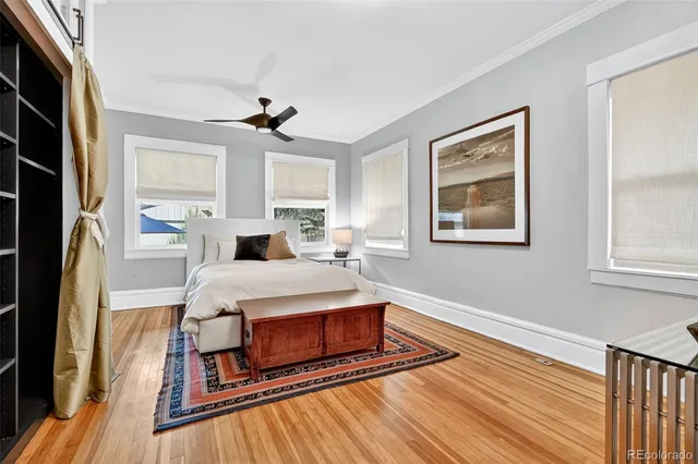 a living room with a bed furniture and a window