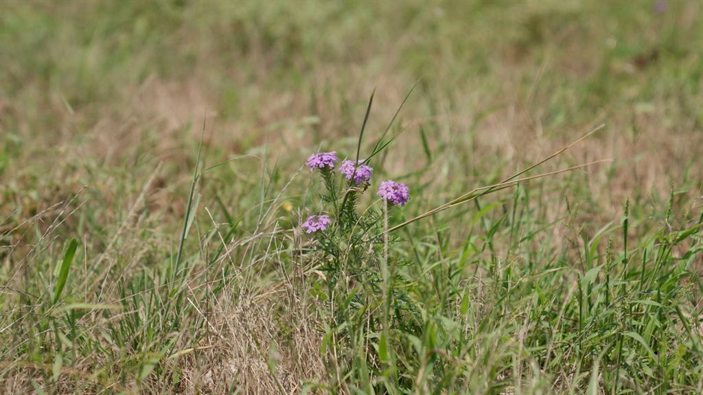 Tbd Compton Road Crawford, TX 76638 - Photo 10 of 28