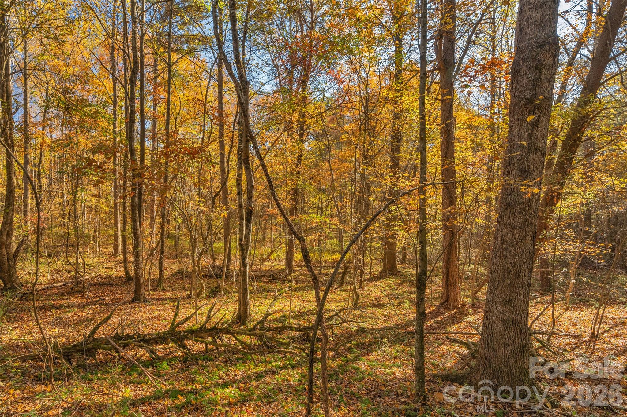 0 Bud Davis Road, Unit 8 Vale, NC 28168 - Photo 2 of 28