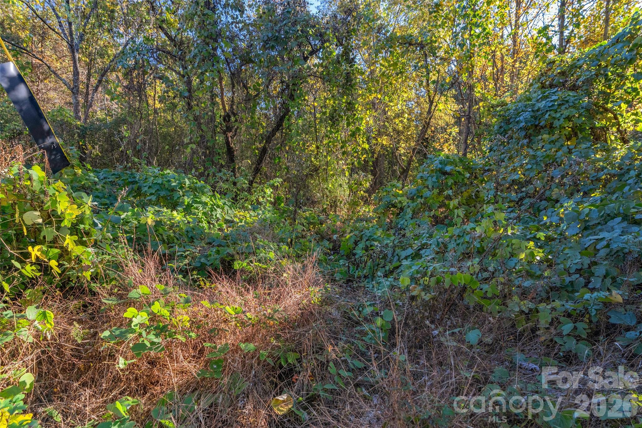 0 Bud Davis Road, Unit 8 Vale, NC 28168 - Photo 22 of 28