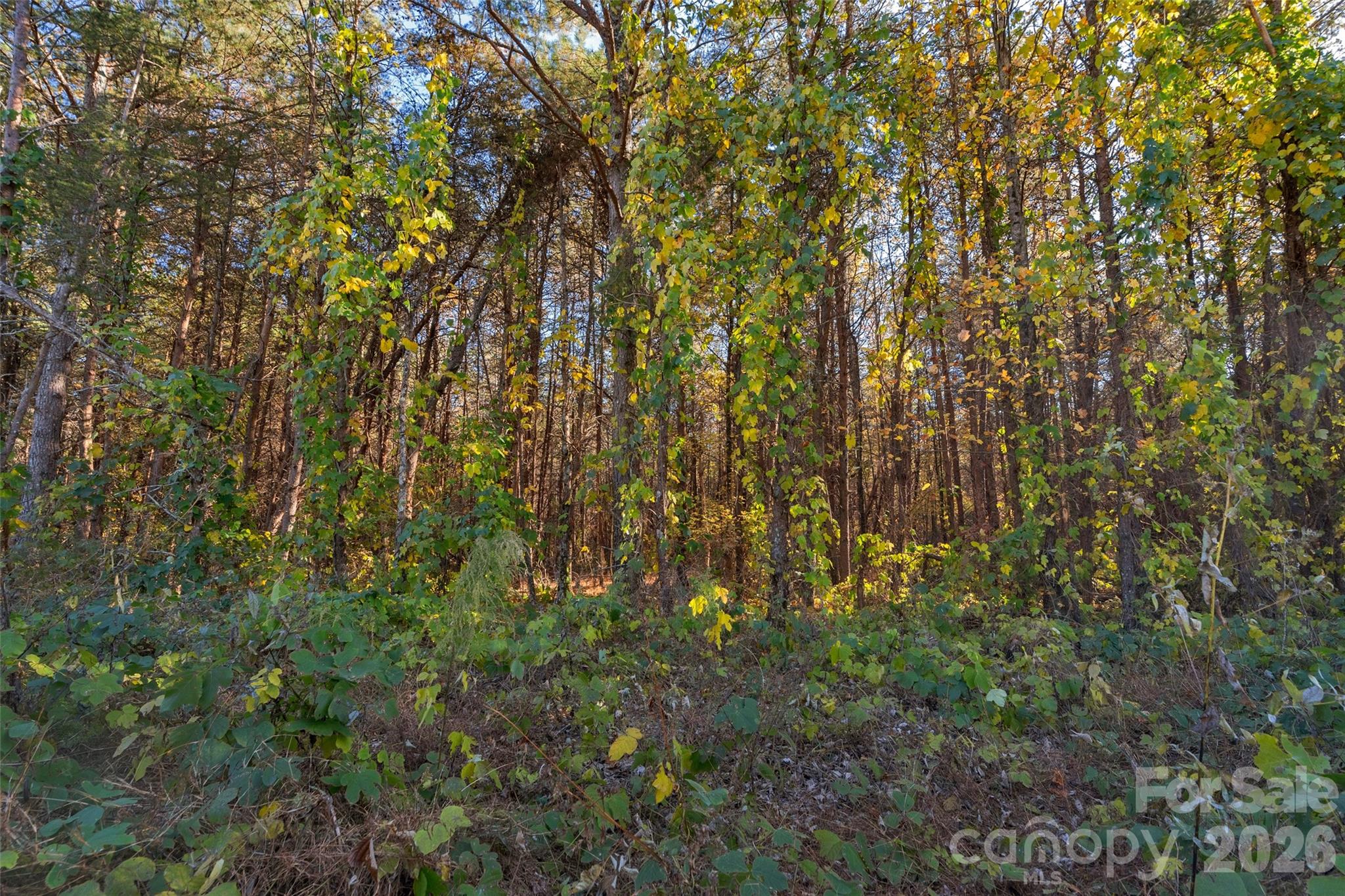 0 Bud Davis Road, Unit 8 Vale, NC 28168 - Photo 24 of 28