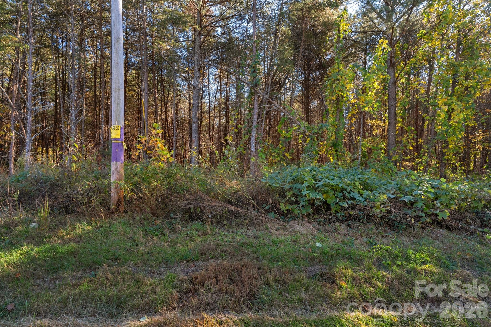 0 Bud Davis Road, Unit 8 Vale, NC 28168 - Photo 25 of 28