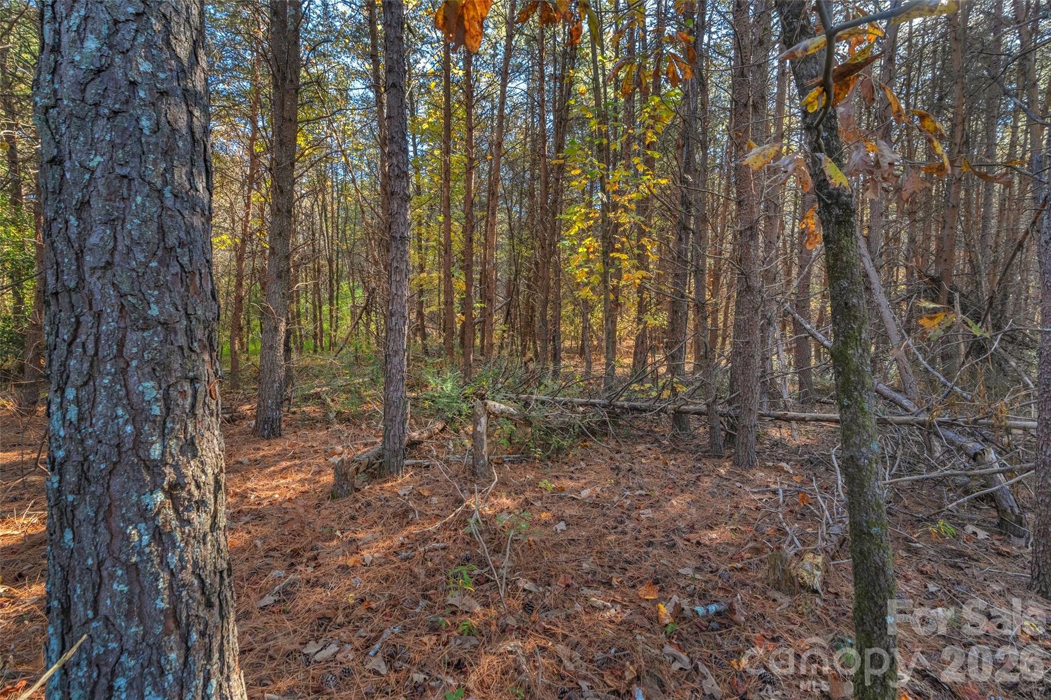 0 Bud Davis Road, Unit 8 Vale, NC 28168 - Photo 27 of 28