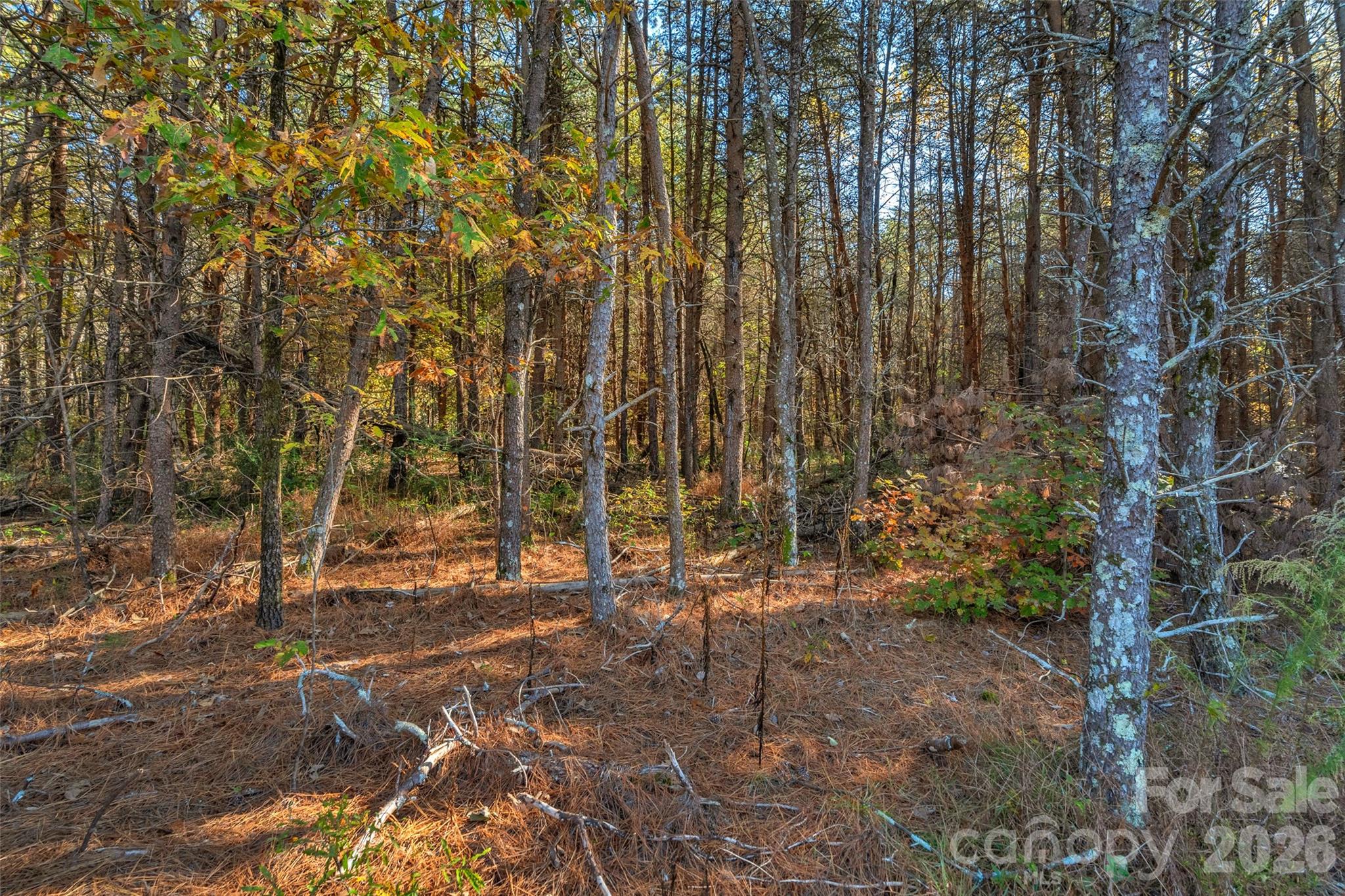 0 Bud Davis Road, Unit 8 Vale, NC 28168 - Photo 7 of 28