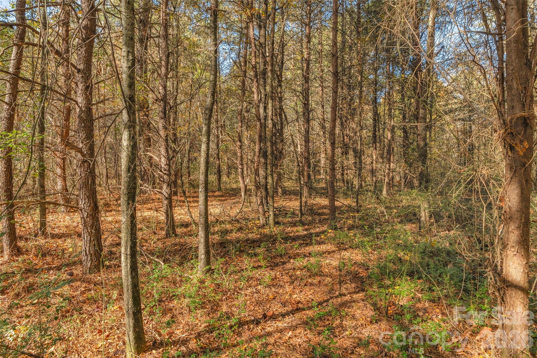 0 Bud Davis Road, Unit 8 Vale, NC 28168 - Photo 10 of 28