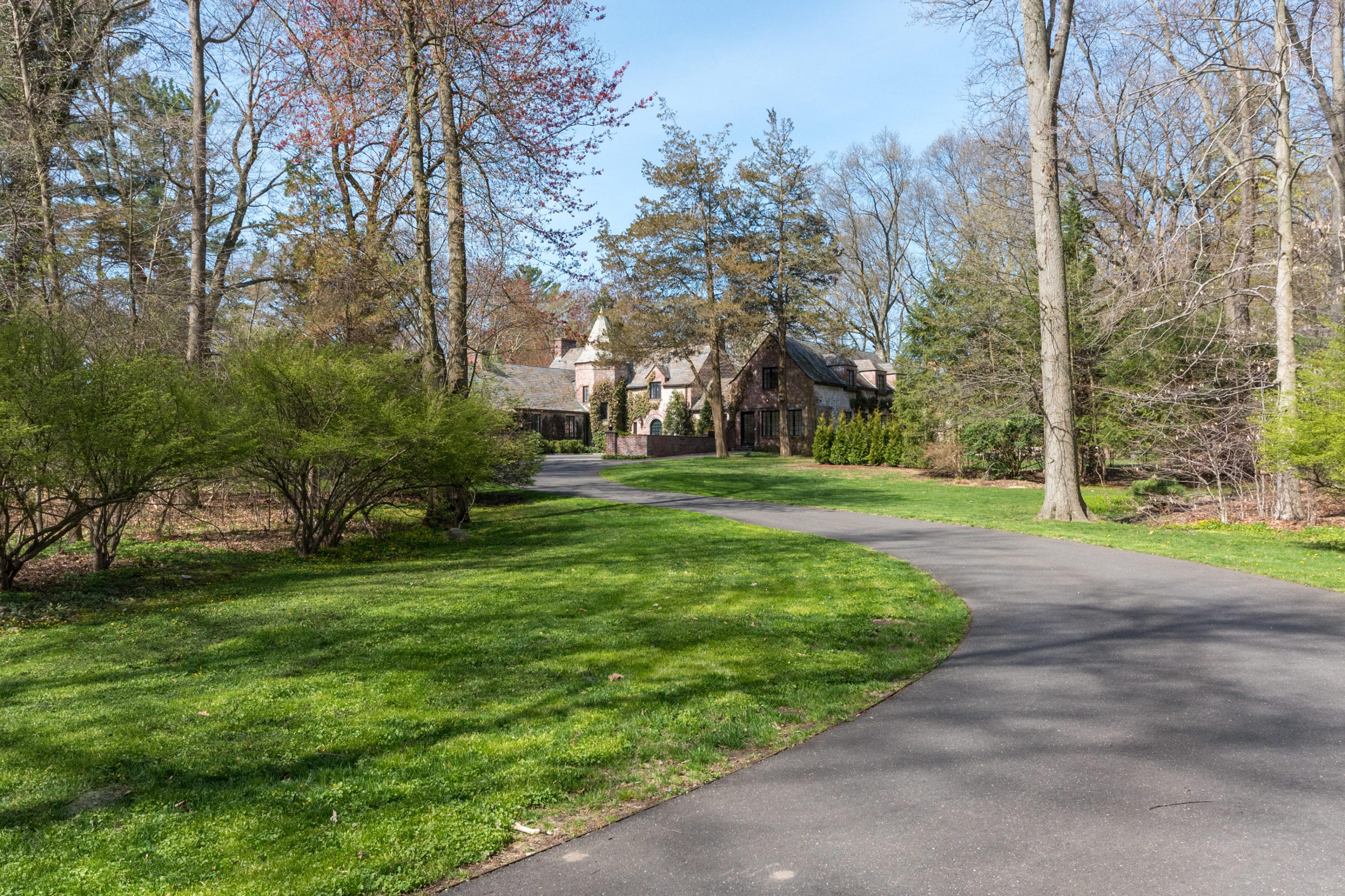 170 Ridge Acres Road Darien, CT 06820 - Photo 5 of 50 a tall tree in middle of garden