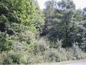0 Gorman Road Kirkwood, NY 13795 - Photo 3 of 4 Gallery Image 3