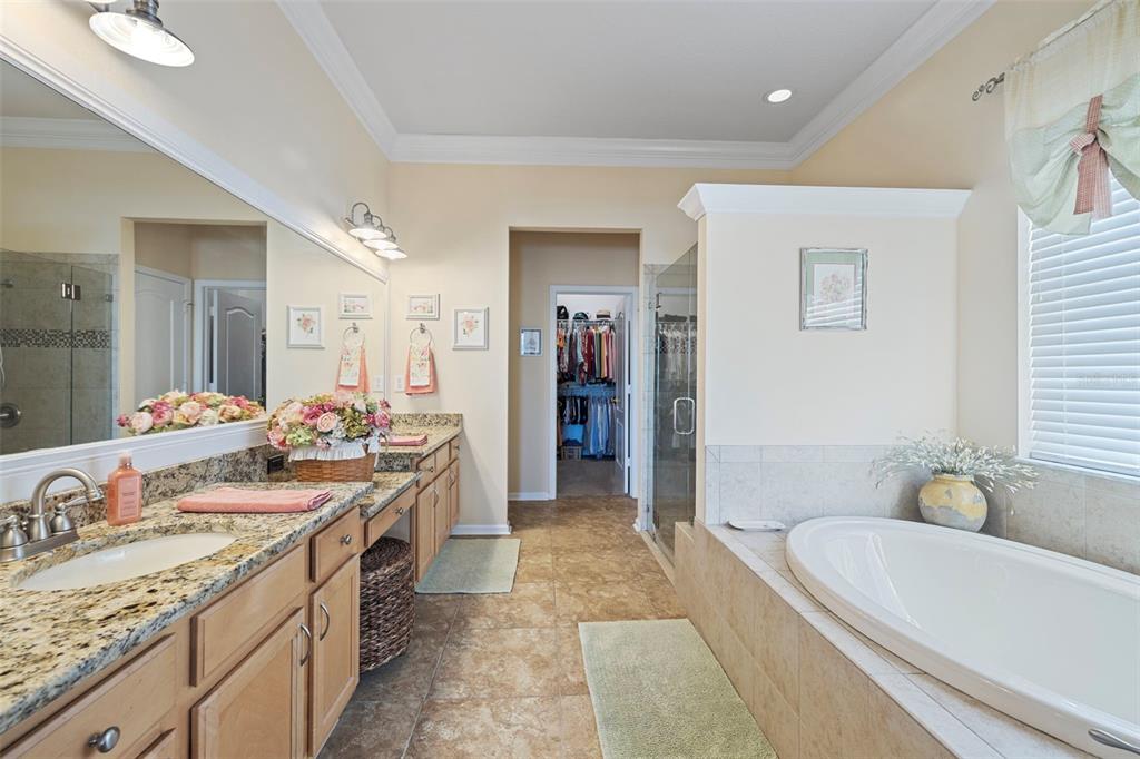 25745 Unbridled Court Wesley Chapel, FL 33544 - Photo 14 of 64