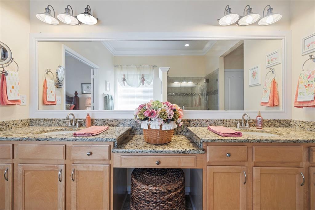 25745 Unbridled Court Wesley Chapel, FL 33544 - Photo 16 of 64 a bathroom with a granite countertop sink and a mirror