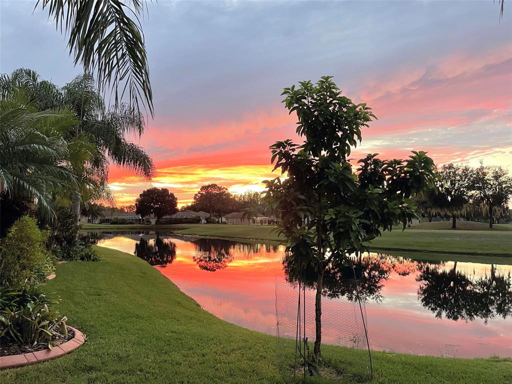 25745 Unbridled Court Wesley Chapel, FL 33544 - Photo 2 of 64