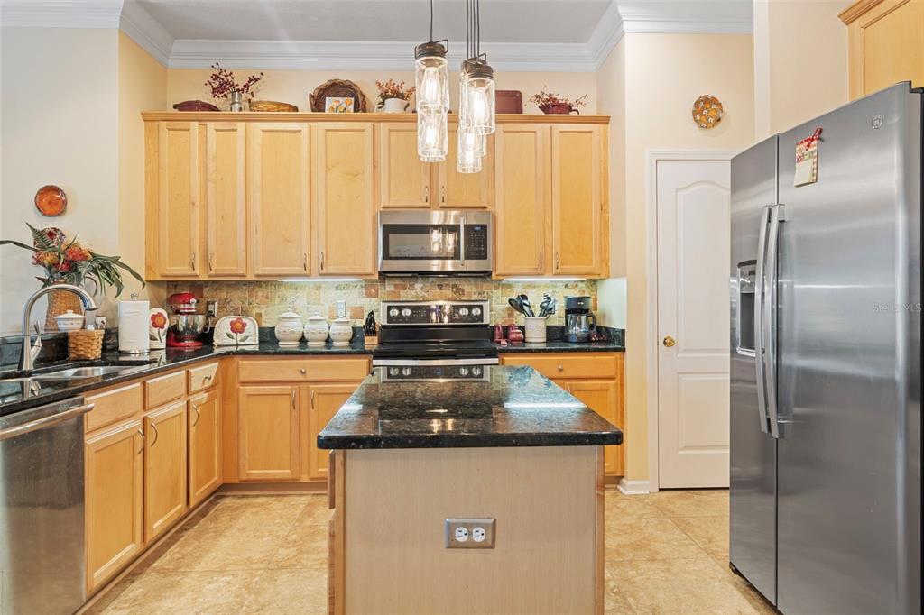 25745 Unbridled Court Wesley Chapel, FL 33544 - Photo 25 of 64 a kitchen with stainless steel appliances granite countertop a sink a stove and a refrigerator
