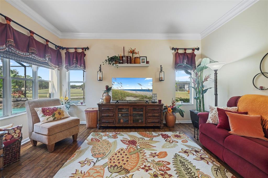 25745 Unbridled Court Wesley Chapel, FL 33544 - Photo 29 of 64 a living room with furniture and a window