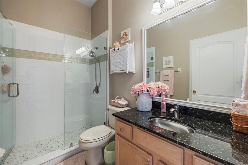 25745 Unbridled Court Wesley Chapel, FL 33544 - Photo 34 of 64 a bathroom with a granite countertop sink mirror and toilet