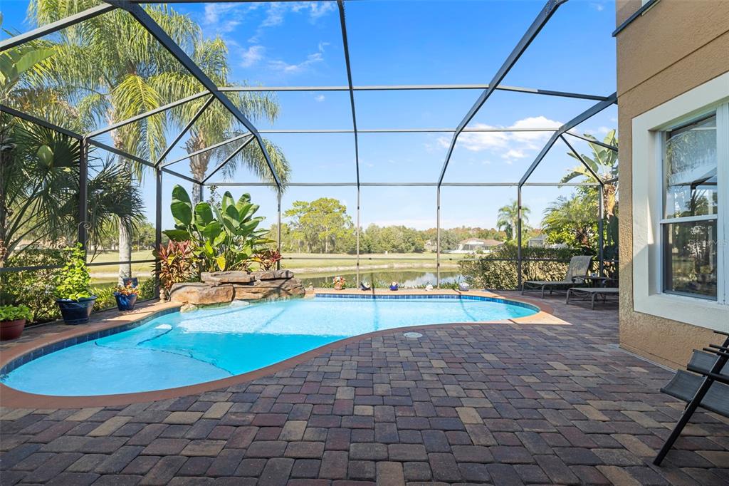 25745 Unbridled Court Wesley Chapel, FL 33544 - Photo 43 of 64 a view of a swimming pool with a patio