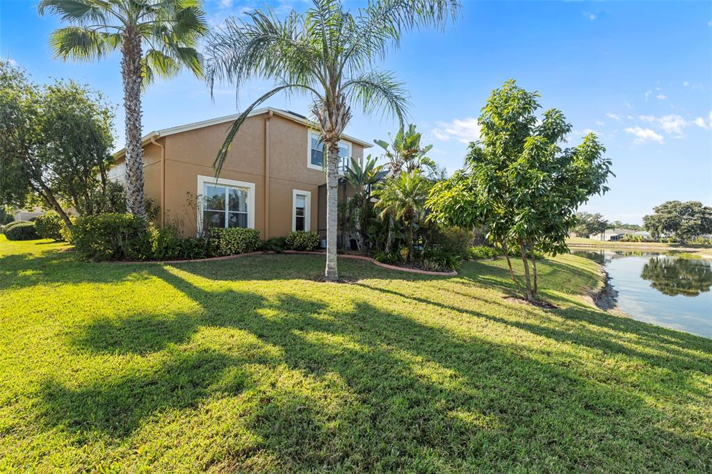 25745 Unbridled Court Wesley Chapel, FL 33544 - Photo 47 of 64 a view of swimming pool with palm trees