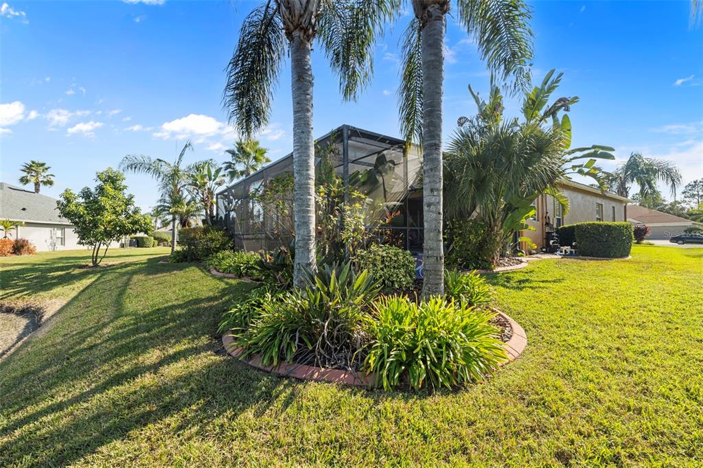 25745 Unbridled Court Wesley Chapel, FL 33544 - Photo 48 of 64 a view of an outdoor space and swimming pool