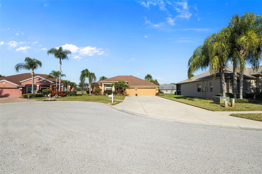 25745 Unbridled Court Wesley Chapel, FL 33544 - Photo 58 of 64 a view of street with view of palm trees