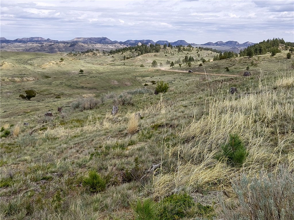 0 Davis Road Miles City, MT 59301 - Photo 43 of 46 Gallery Image 43