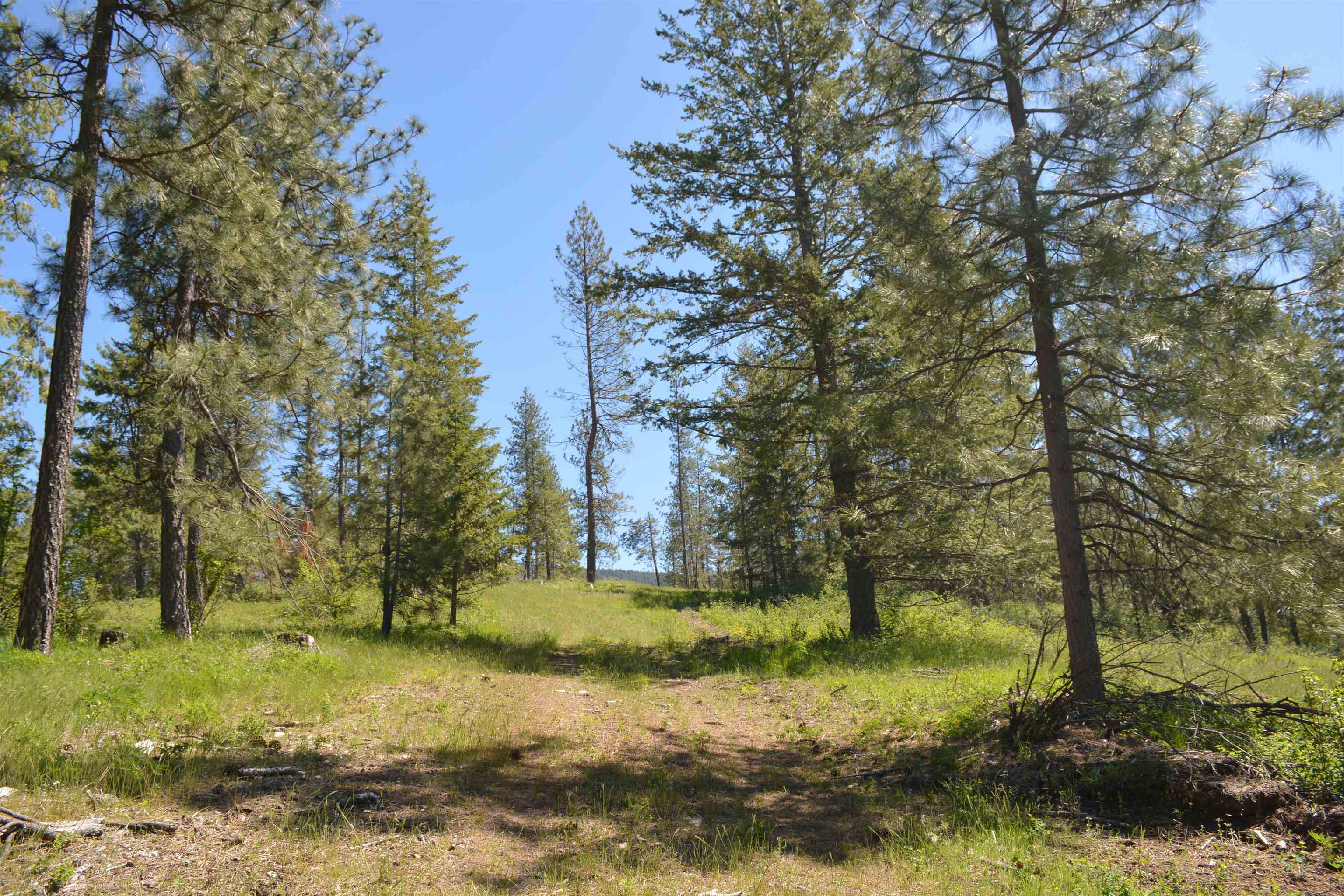 Xxx East Deer Creek Road Chattaroy, WA 99003 - Photo 14 of 17