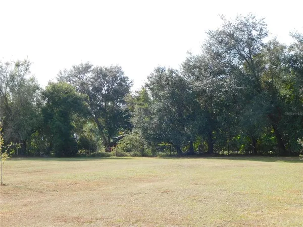 a view of yard and trees