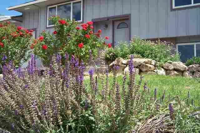 431 Harmony Drive Rifle, CO 81650 - Photo 1 of 4 Primary Photo