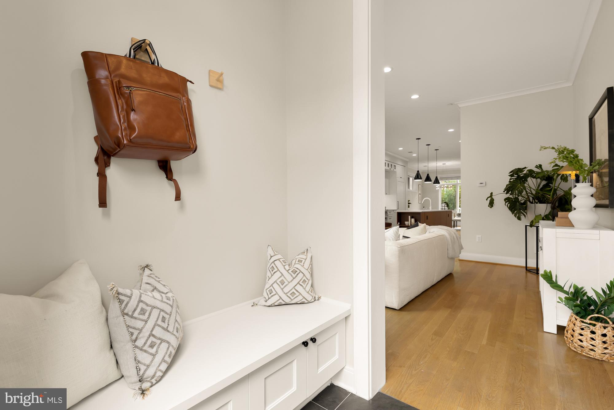 1311 D Street Southeast Washington, DC 20003 - Photo 21 of 57 a living room with furniture and potted plant