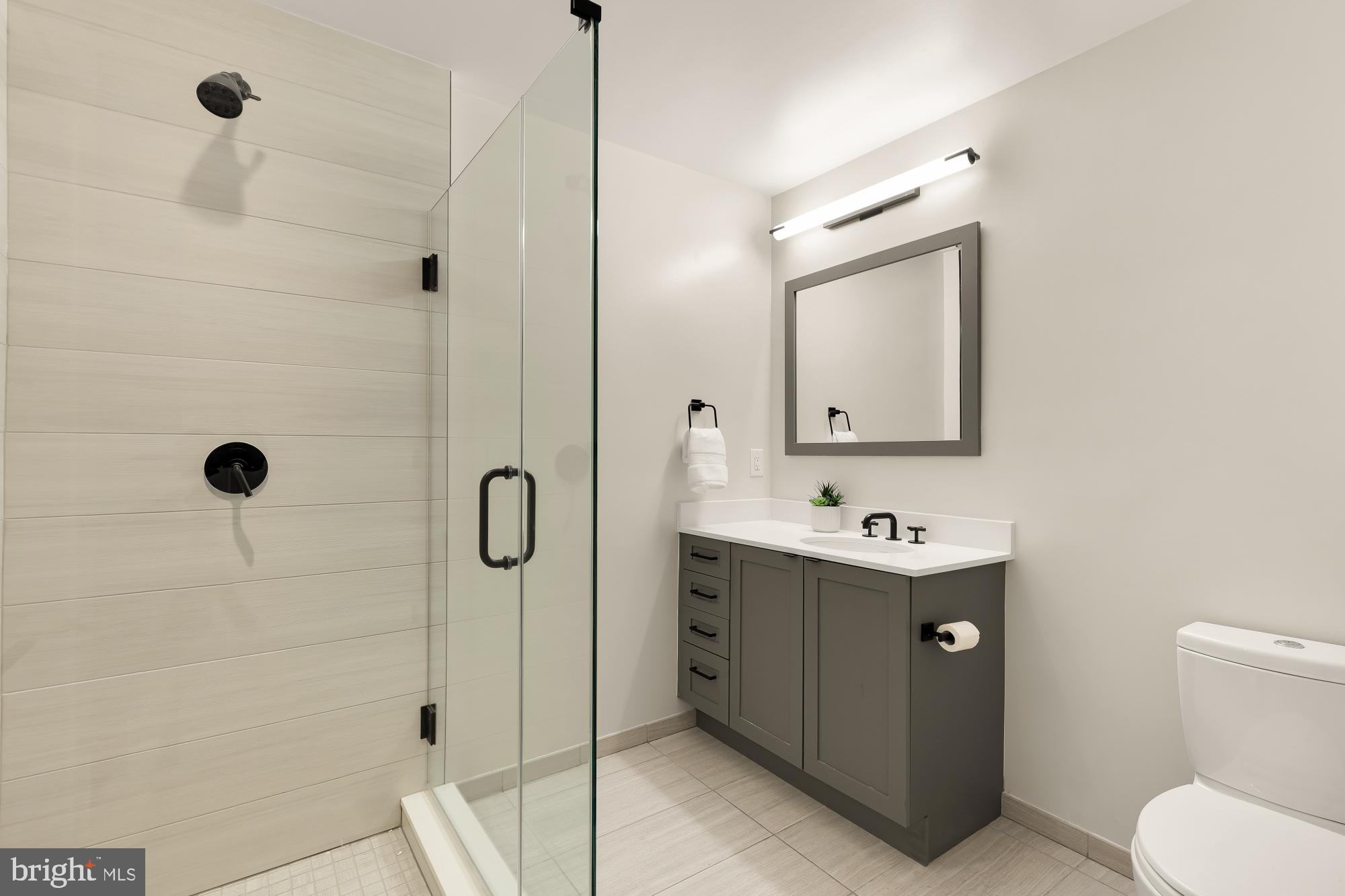 1311 D Street Southeast Washington, DC 20003 - Photo 32 of 57 a bathroom with a sink a toilet and shower