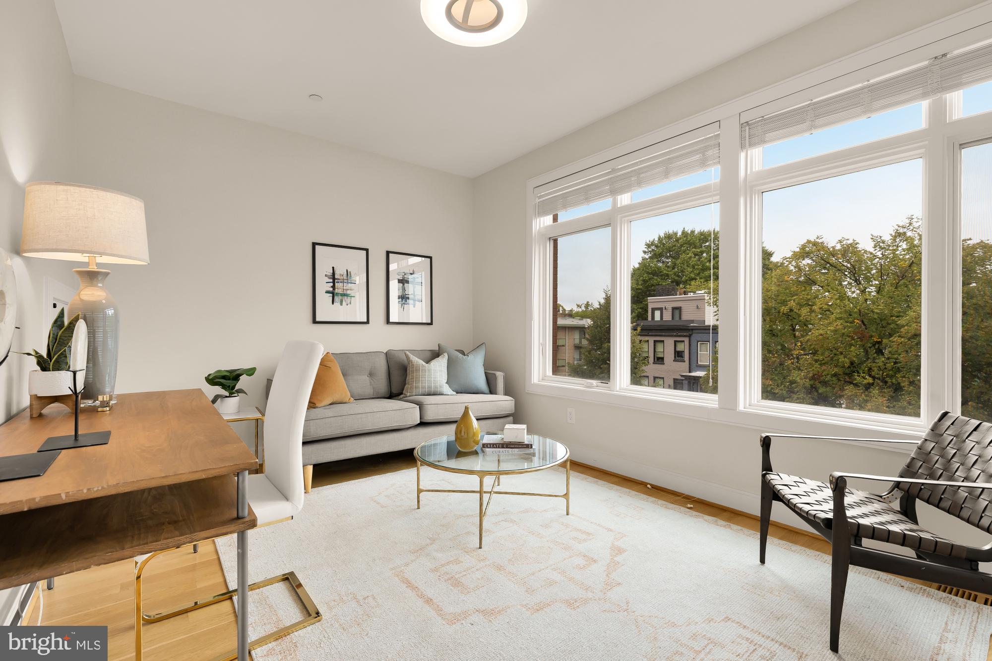 1311 D Street Southeast Washington, DC 20003 - Photo 41 of 57 a living room with furniture and a window