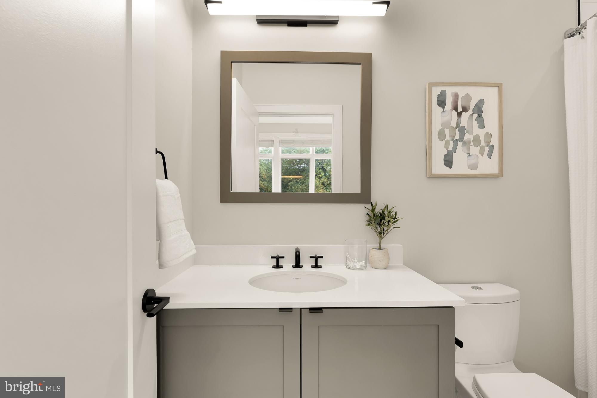 1311 D Street Southeast Washington, DC 20003 - Photo 51 of 57 a bathroom with a sink and a toilet