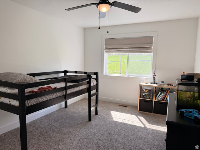 3607 South Parkinson Road South Franklin, ID 83237 - Photo 12 of 24 Bedroom with light carpet and ceiling fan