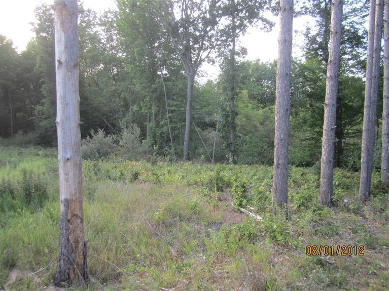 7274 West Briggs Road Stanton, MI 48888 - Photo 11 of 24 Additional Photo