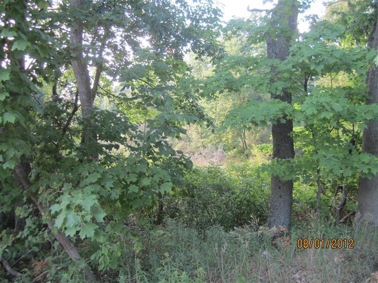 7274 West Briggs Road Stanton, MI 48888 - Photo 12 of 24 Additional Photo