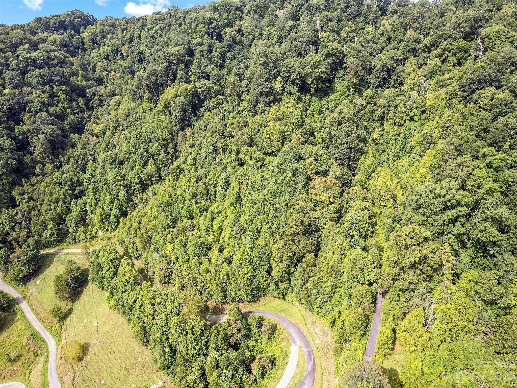 0 Yonaguska Ridge, Unit B Clyde, NC 28721 - Photo 1 of 10 a view of a yard with a plant