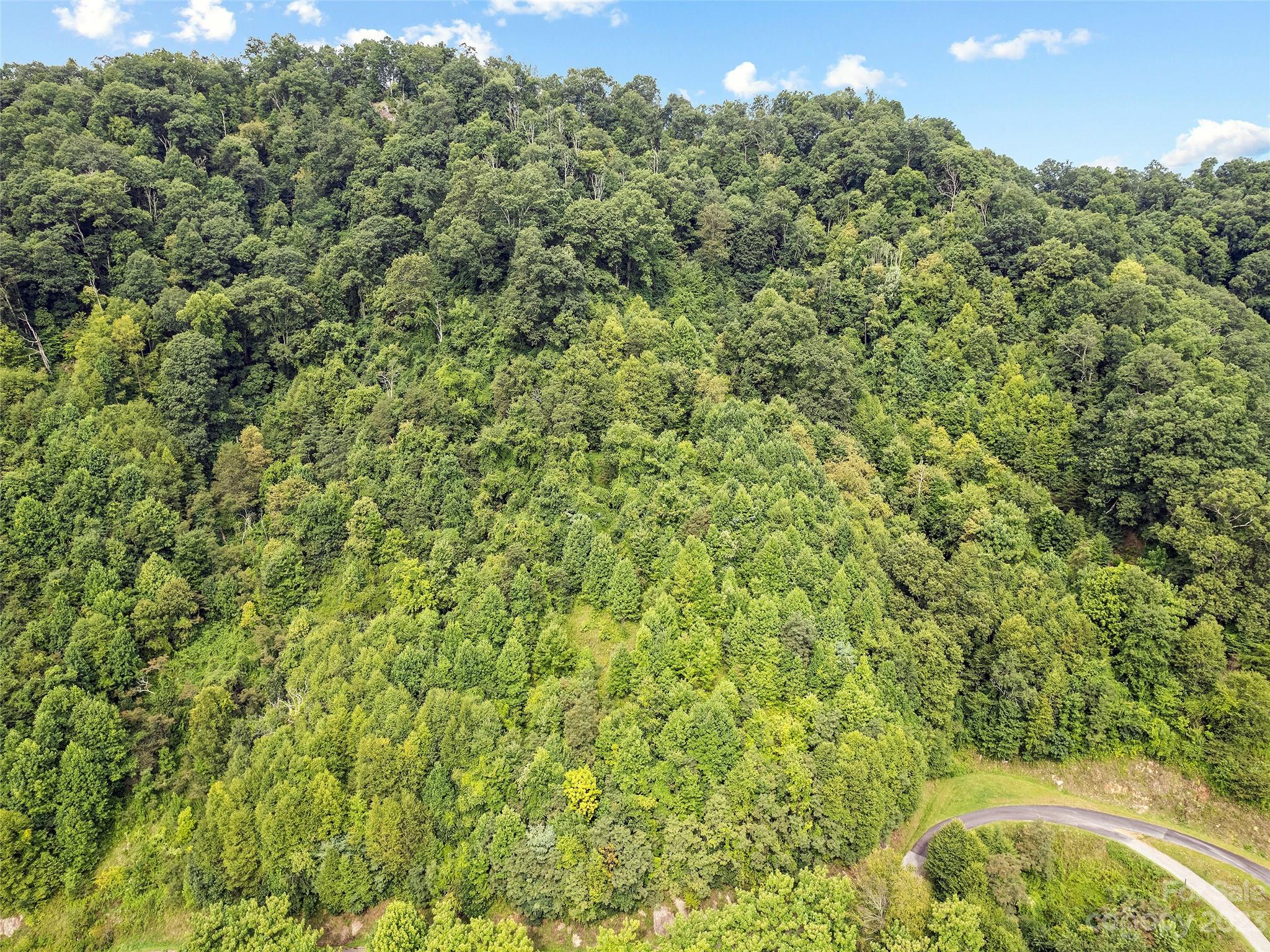 0 Yonaguska Ridge, Unit B Clyde, NC 28721 - Photo 3 of 10