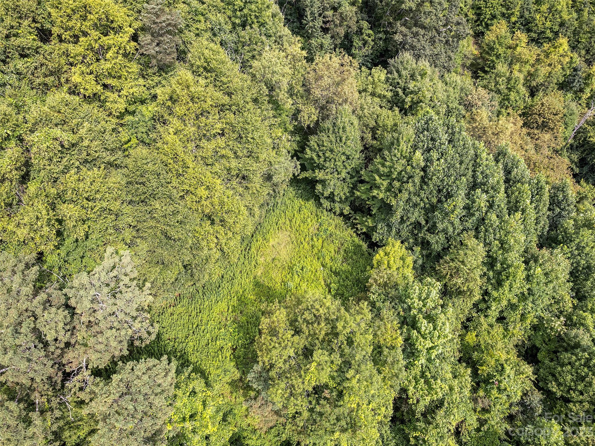 0 Yonaguska Ridge, Unit B Clyde, NC 28721 - Photo 5 of 10 a view of a yard