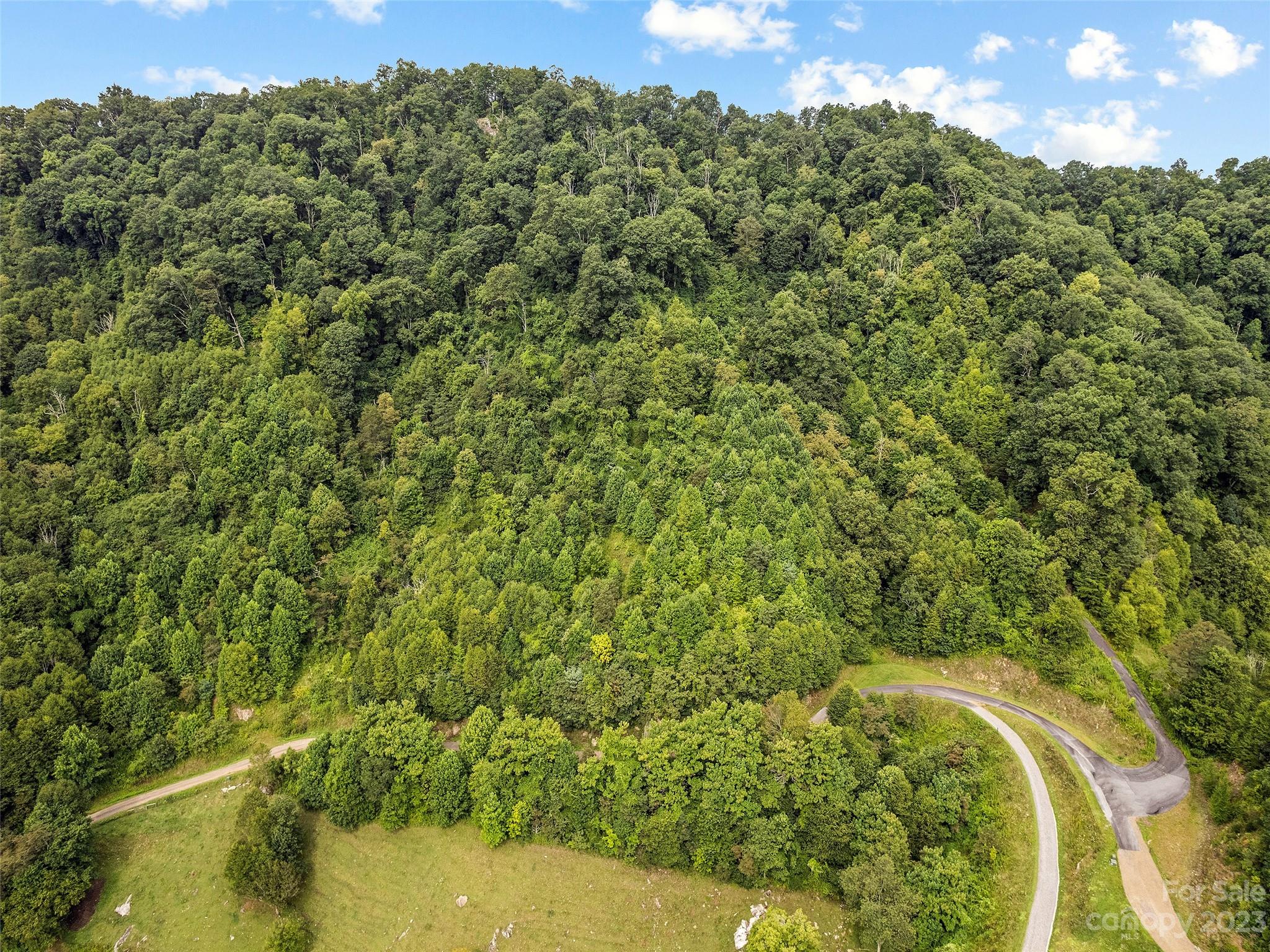 0 Yonaguska Ridge, Unit B Clyde, NC 28721 - Photo 7 of 10 a view of a forest with a lake