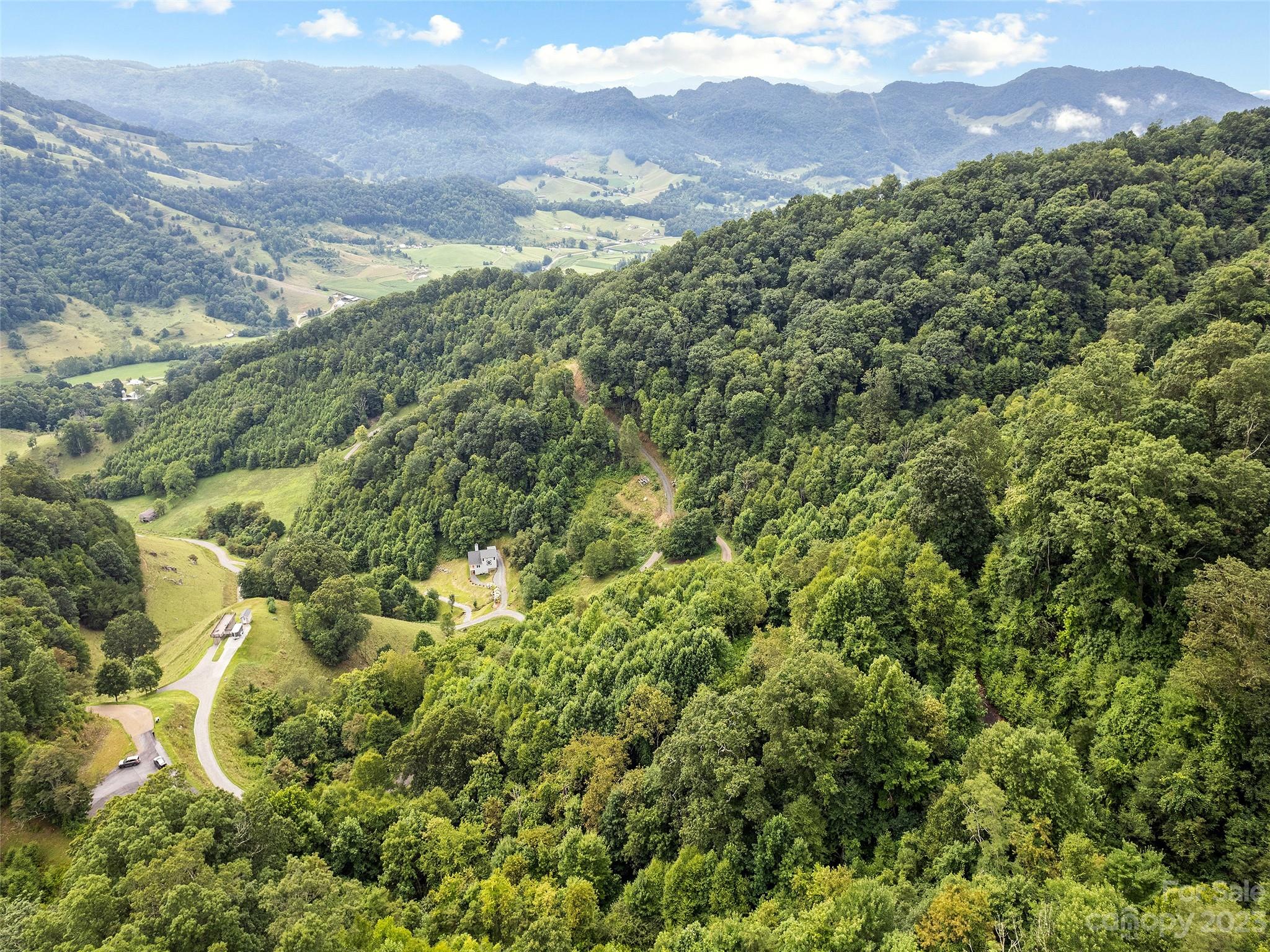 0 Yonaguska Ridge, Unit B Clyde, NC 28721 - Photo 8 of 10 a view of a forest with a street
