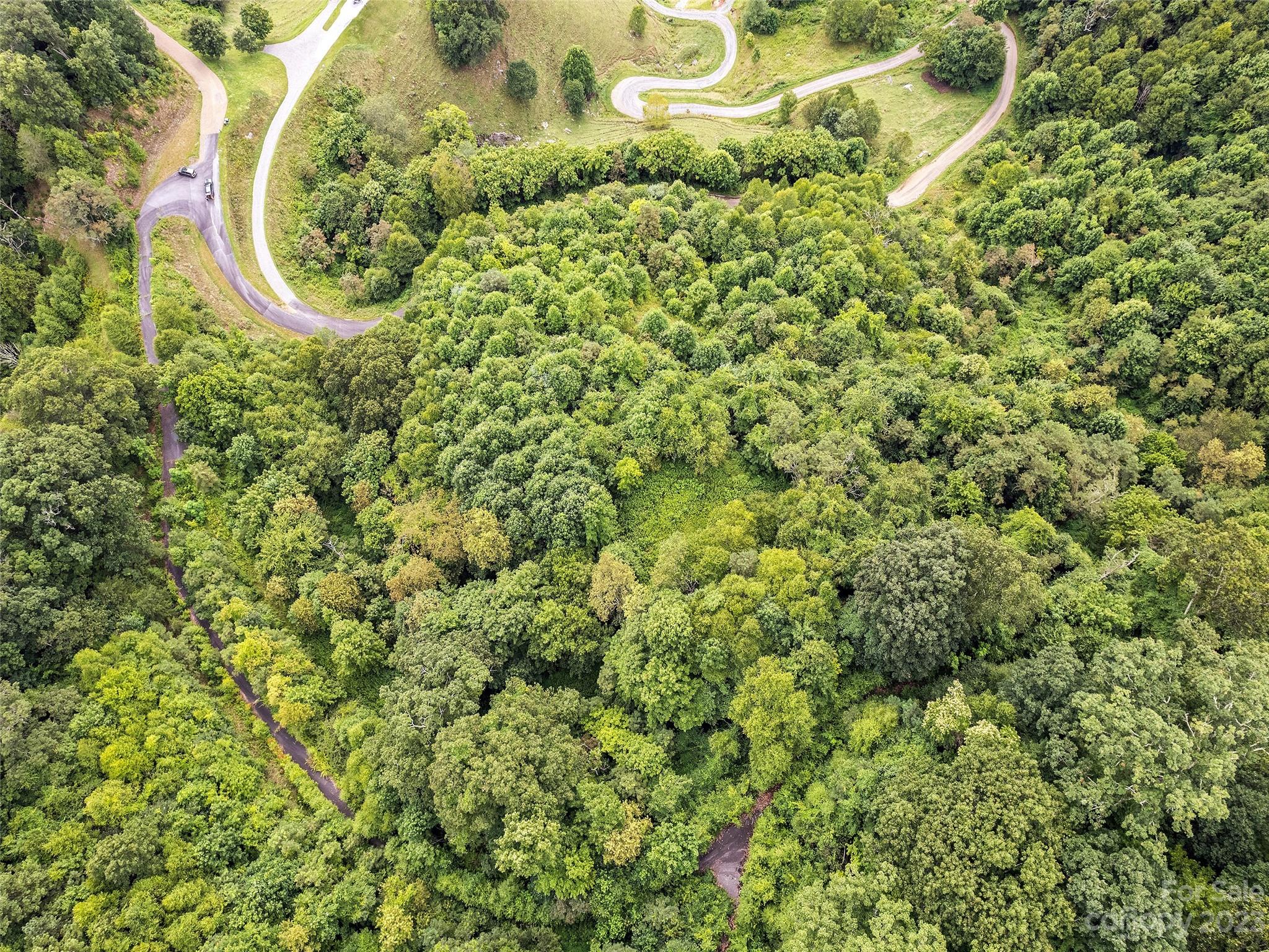 0 Yonaguska Ridge, Unit B Clyde, NC 28721 - Photo 10 of 10 a close up of a plant in a garden