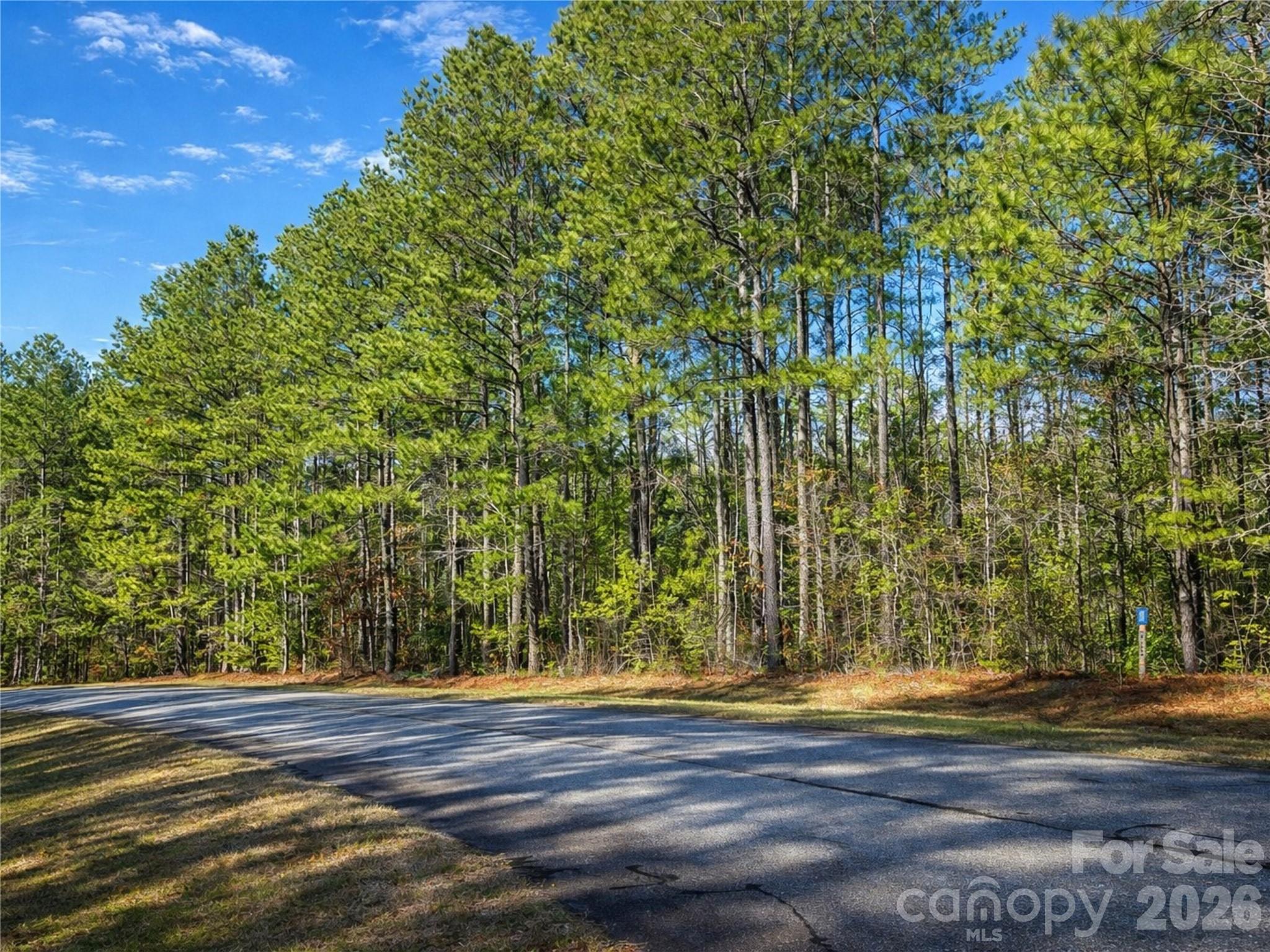 196 Sunset Ridge, Unit LOT 122 Rockingham, NC 28379 - Photo 3 of 16 Gallery Image 3